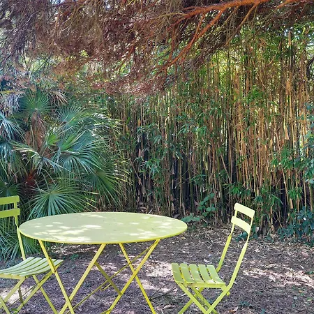 Aux Jolis Bambous, Jardin *