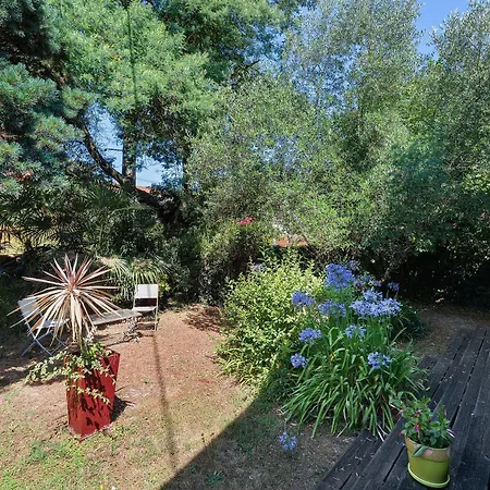 Aux Jolis Bambous, Jardin *