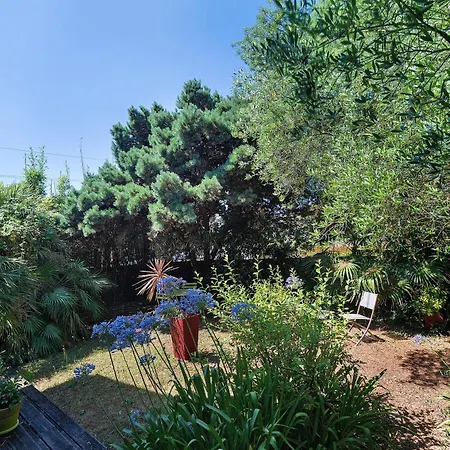 度假居 Aux Jolis Bambous, Jardin *